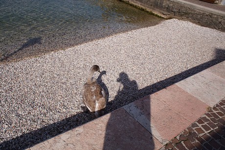 Cassone di Malcesine
